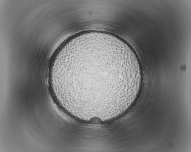 X0000114031131200910231853