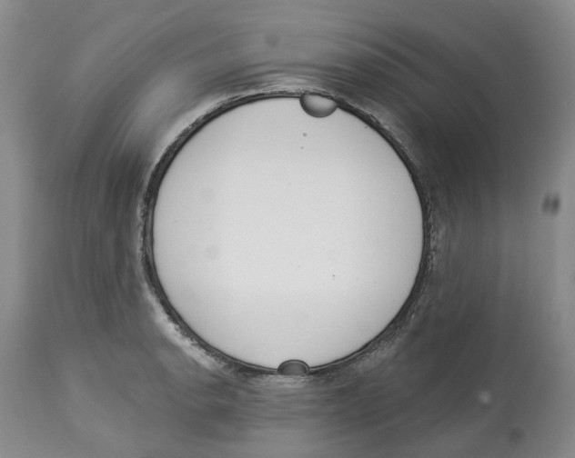 X0000114031134200910231853