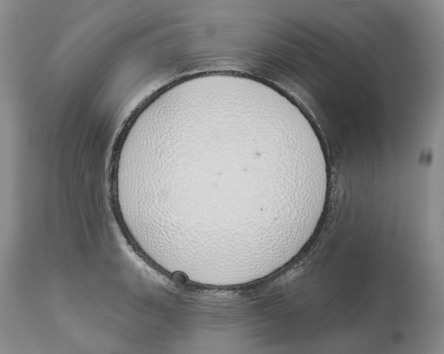 X0000114031135200910231853