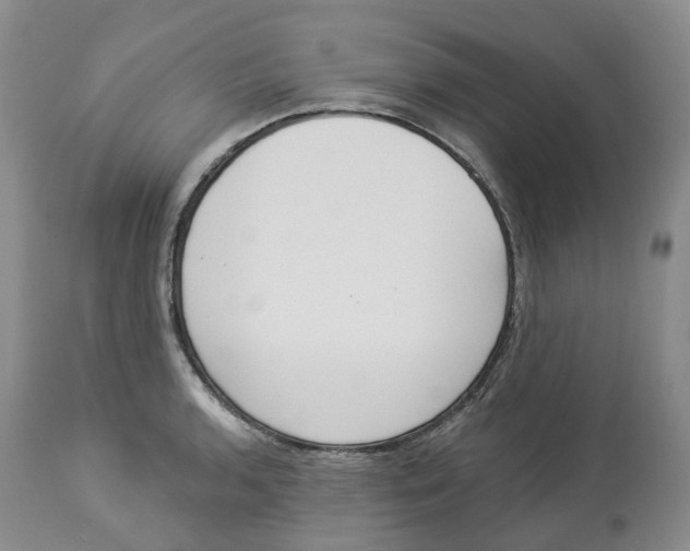 X0000114031136200910231853