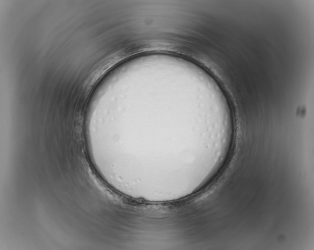 X0000114031137200910231853