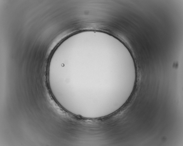 X0000114031138200910231853