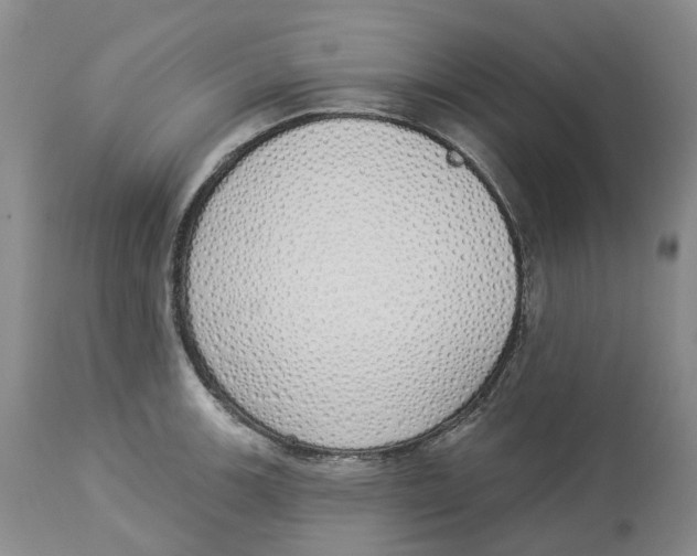 X0000114031139200910231853