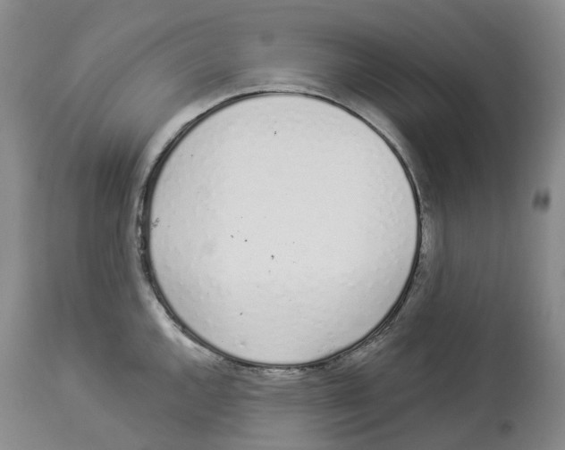 X0000114031144200910231853