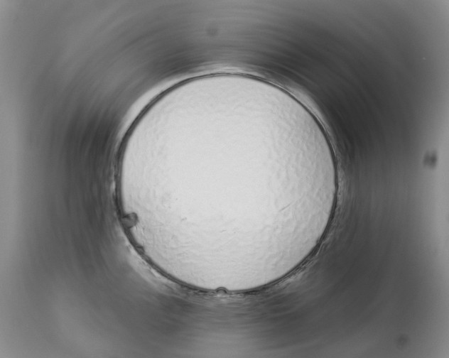 X0000114031148200910231853