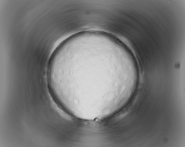 X0000114031149200910231853