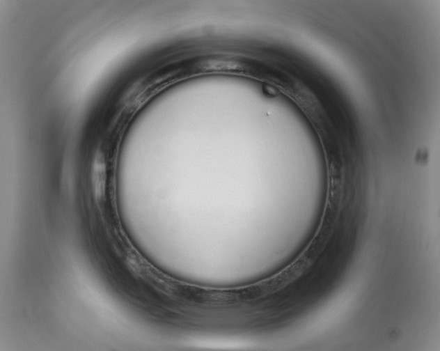 X0000114031151200910231853