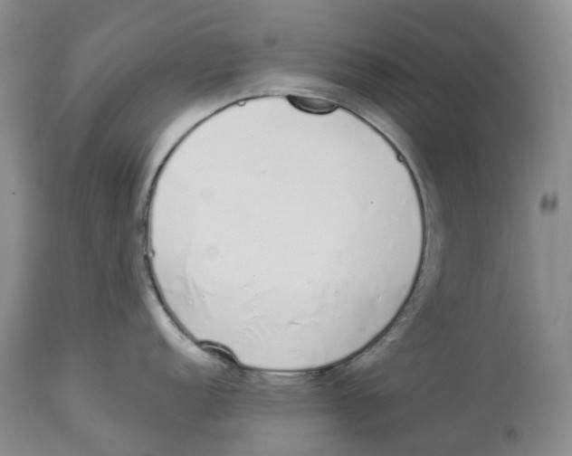 X0000114031152200910231853