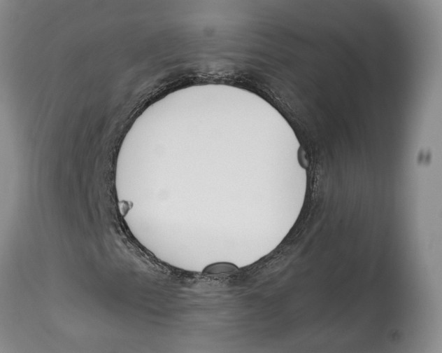 X0000114031153200910231853