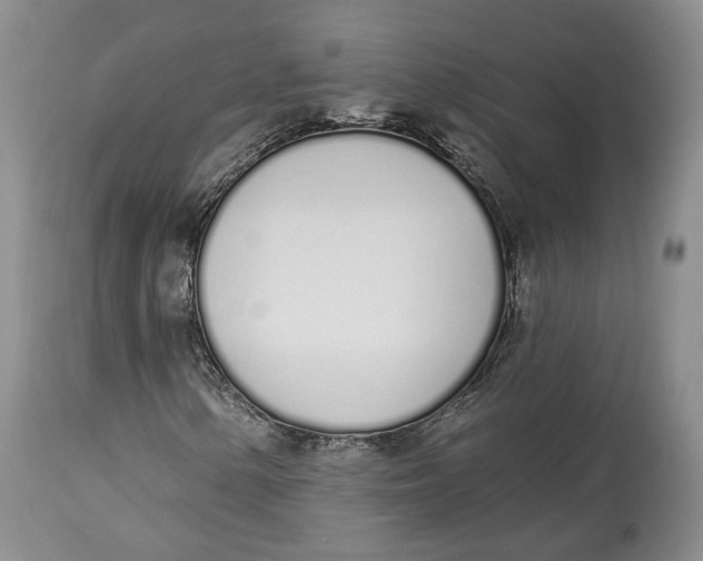 X0000114031154200910231853