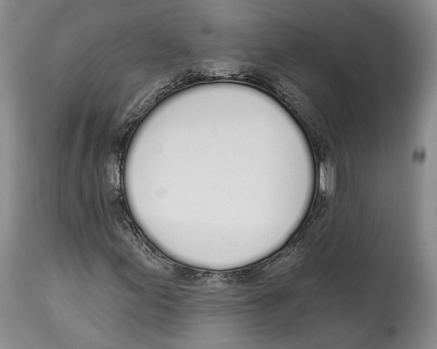 X0000114031155200910231853