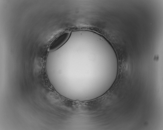 X0000114031157200910231853