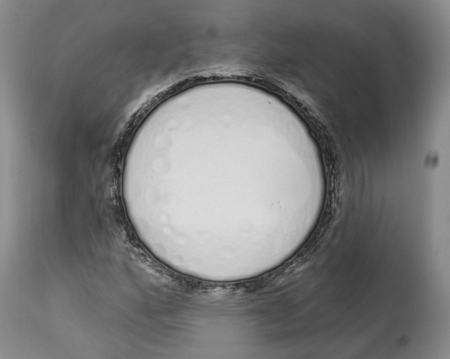 X0000114031160200910231853