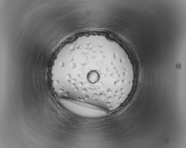 X0000114031161200910231853