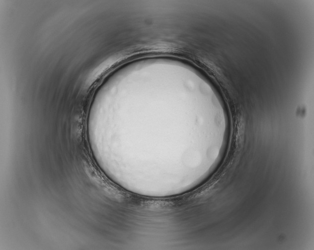 X0000114031163200910231852