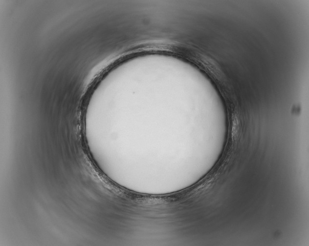 X0000114031164200910231852