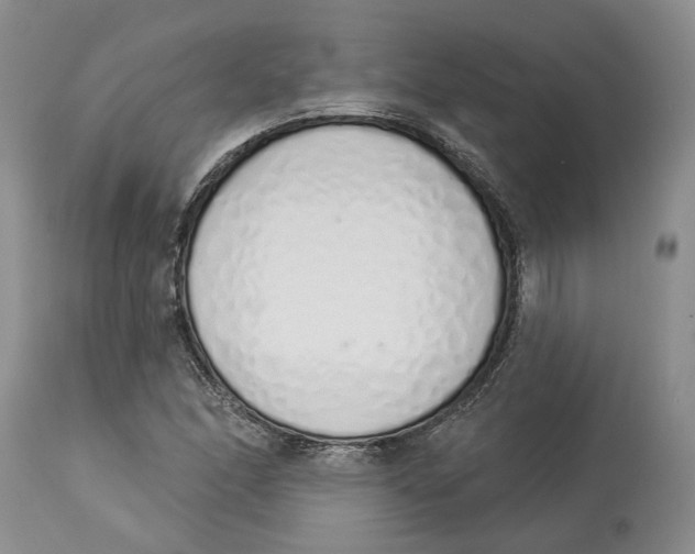 X0000114031166200910231852