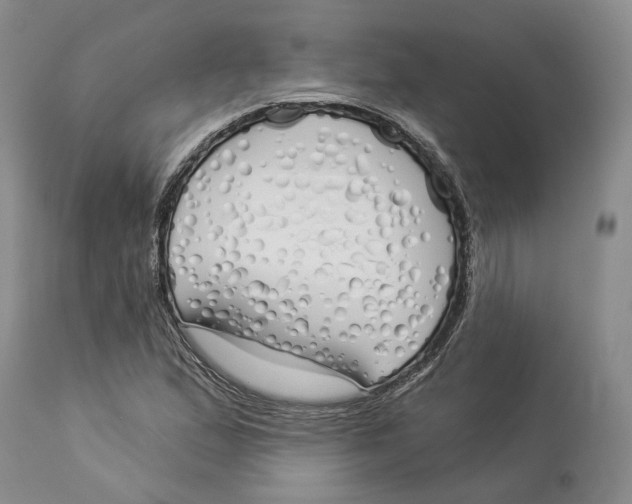 X0000114031167200910231852