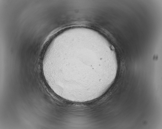 X0000114031168200910231852