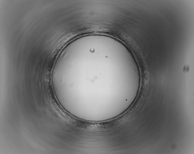 X0000114031169200910231852