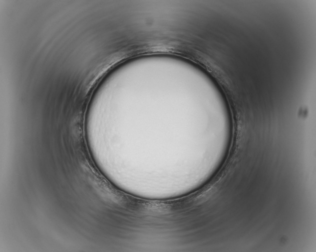 X0000114031170200910231852