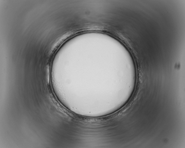 X0000114031171200910231852