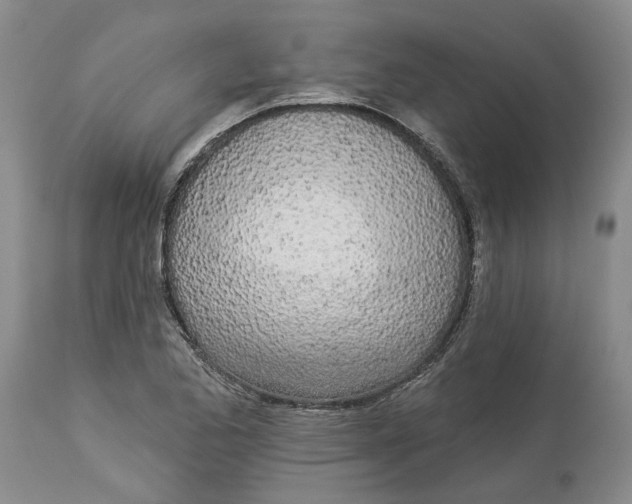 X0000114031173200910231852