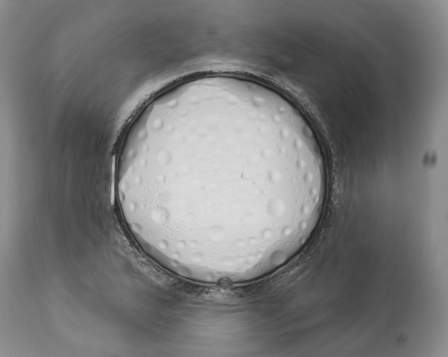 X0000114031175200910231852