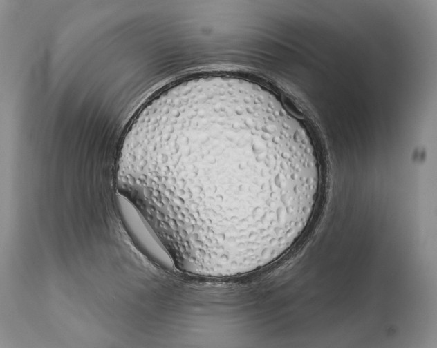 X0000114031177200910231852