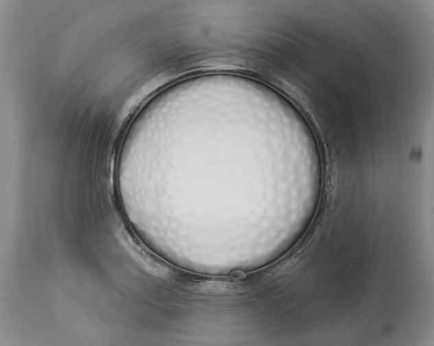 X0000114031179200910231852