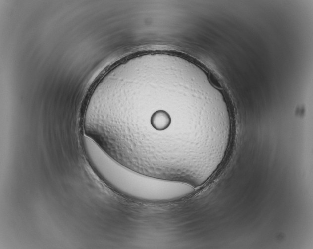 X0000114031181200910231852