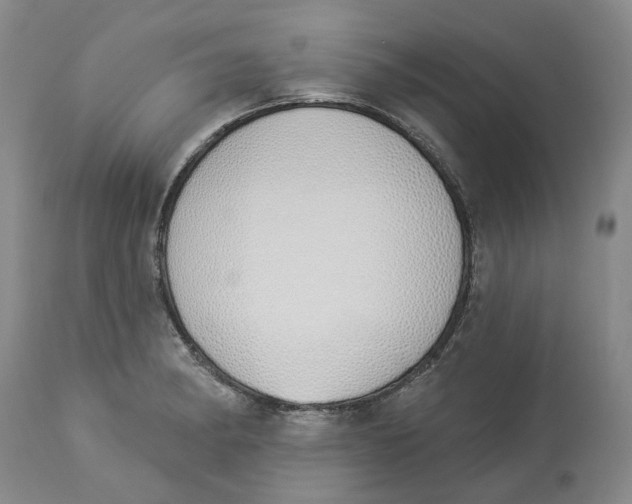 X0000114031182200910231852