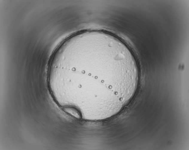 X0000114031183200910231852