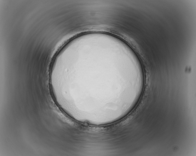 X0000114031184200910231852