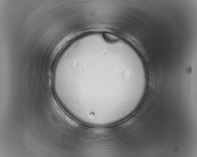 X0000114031188200910231852