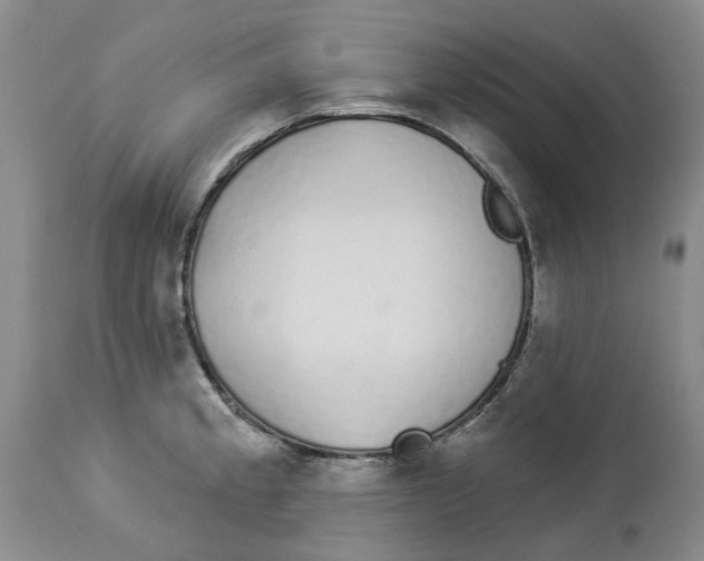 X0000114031189200910231852