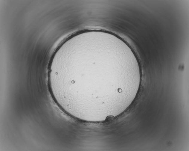 X0000114031191200910231852