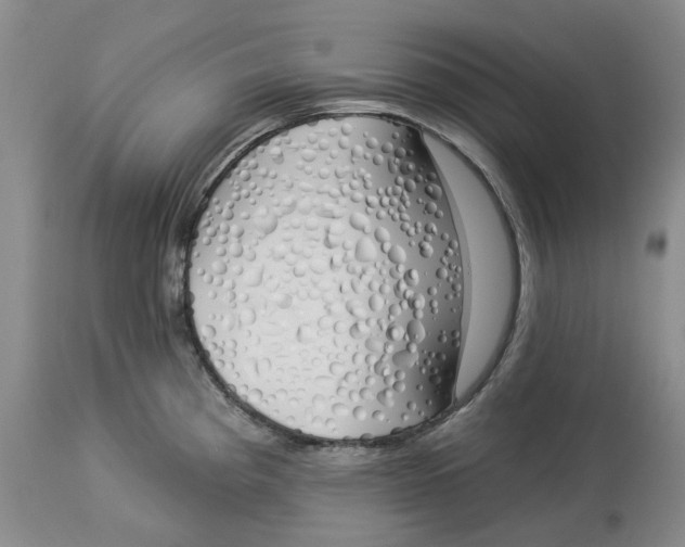 X0000114031193200910231852