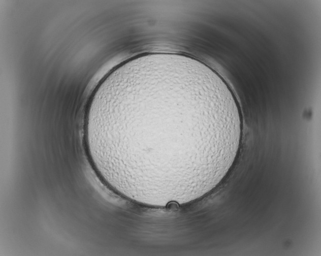 X0000114031195200910231852