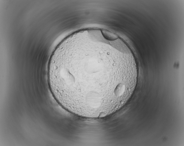 X0000114031199200910231852