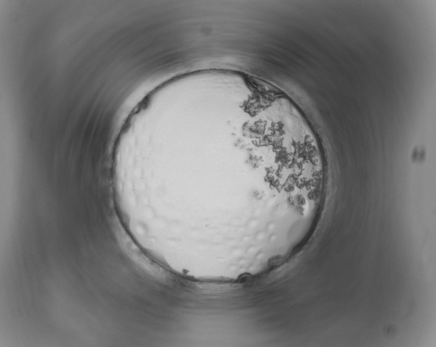 X0000114031200200910231852