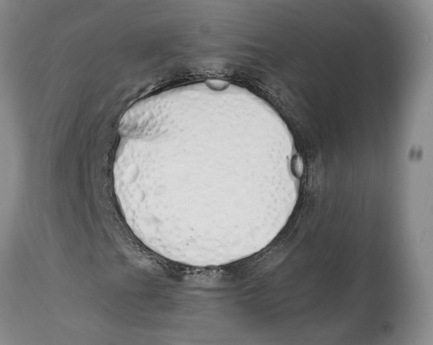 X0000114031201200910231851