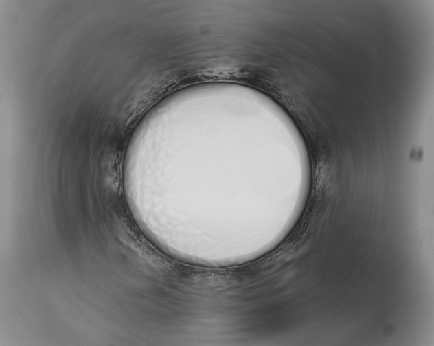 X0000114031202200910231851