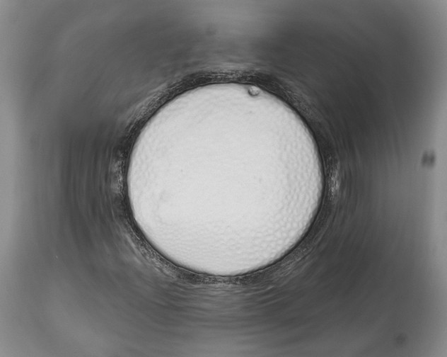 X0000114031204200910231851