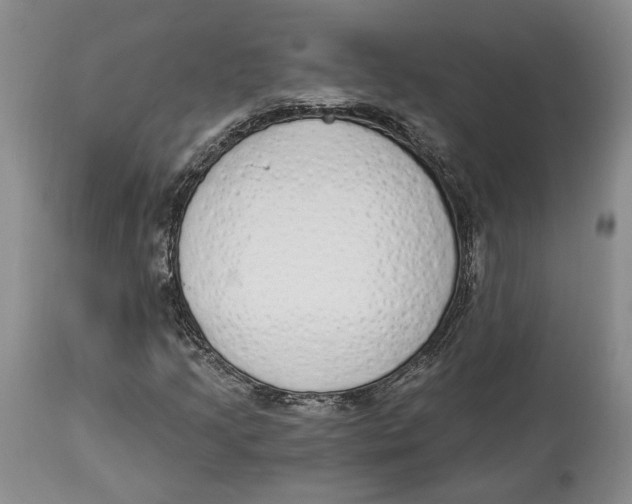 X0000114031205200910231851