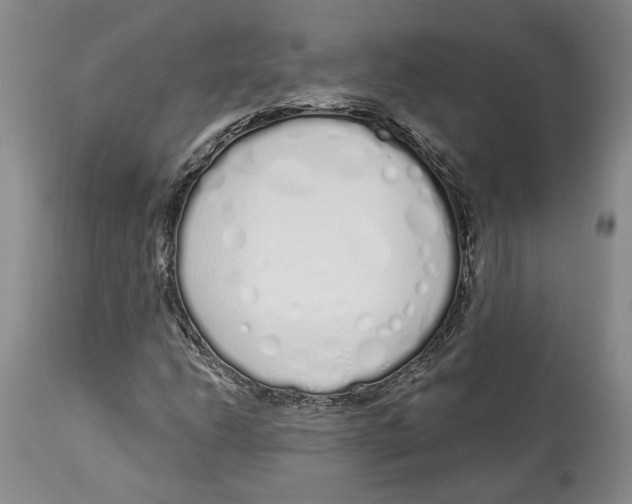 X0000114031206200910231851