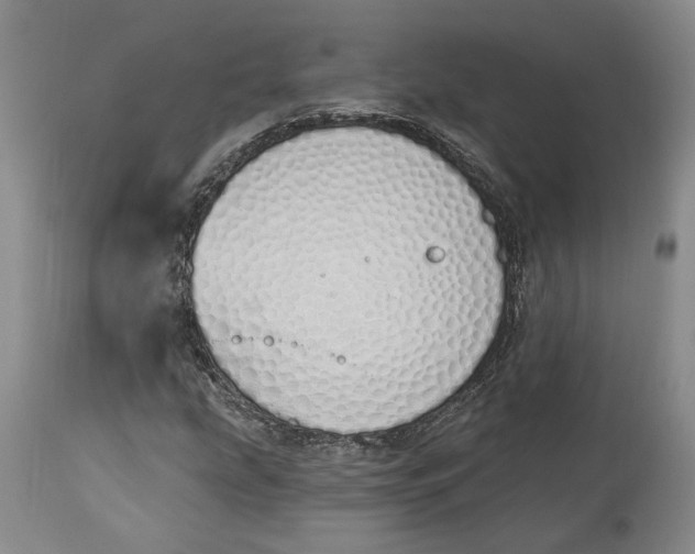 X0000114031207200910231851