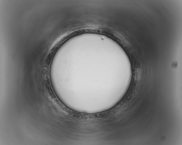 X0000114031208200910231851