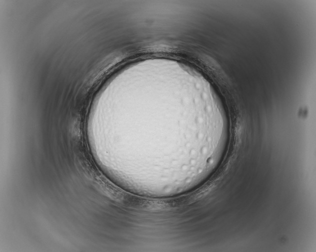 X0000114031209200910231851