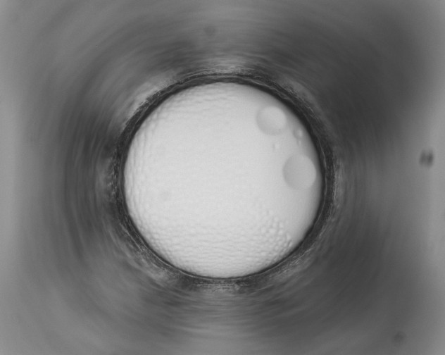 X0000114031210200910231851